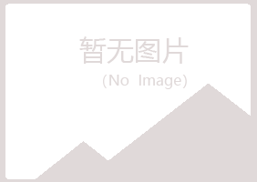 港北区山柏建设有限公司